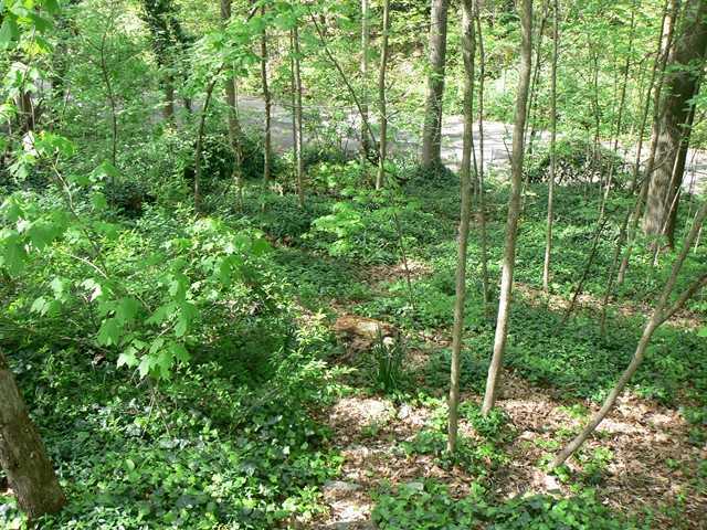 443 Walhalla Road Columbus, OH 43202 - Photo 18 of 24