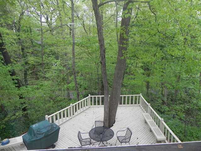 443 Walhalla Road Columbus, OH 43202 - Photo 7 of 24