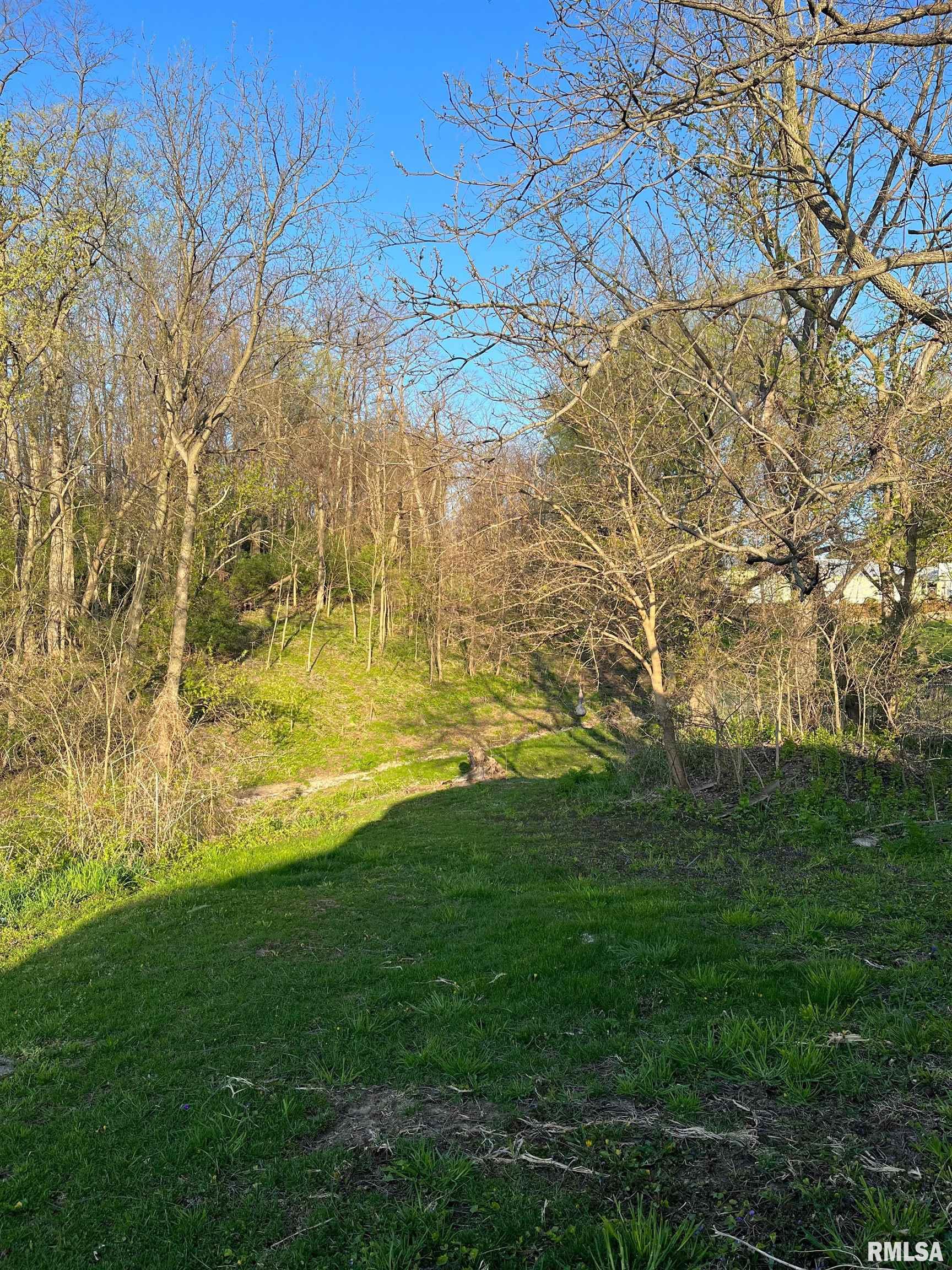 13895 Lincoln Road Morrison, IL 61270 - Photo 31 of 46