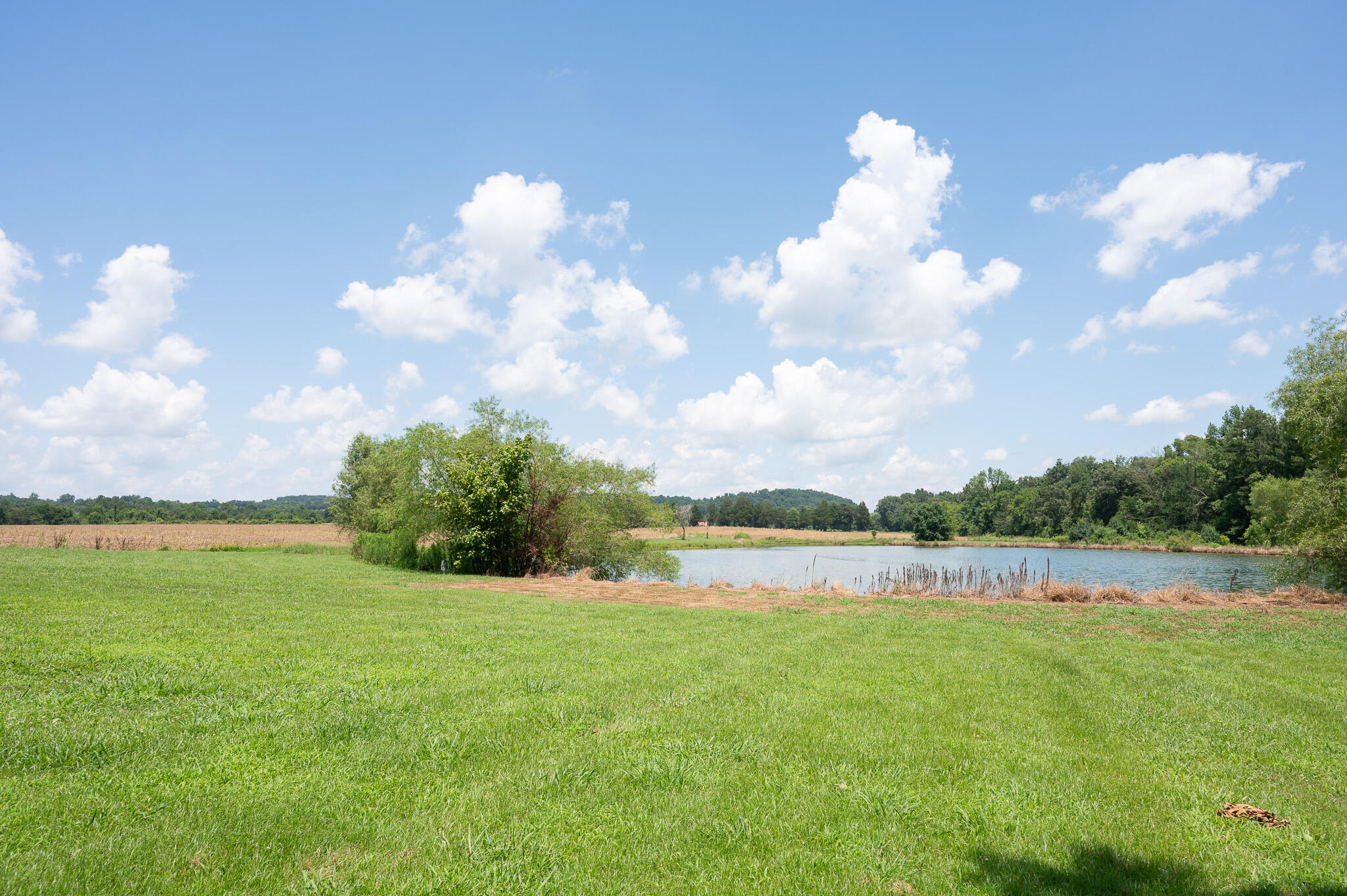 3901 Spring Place Road Southeast Cleveland, TN 37323 - Photo 30 of 35 DSC_1405