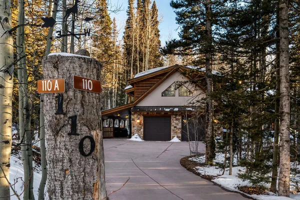 $3,495,000 | 110 Saddle Horn Lane, Telluride, CO 81435