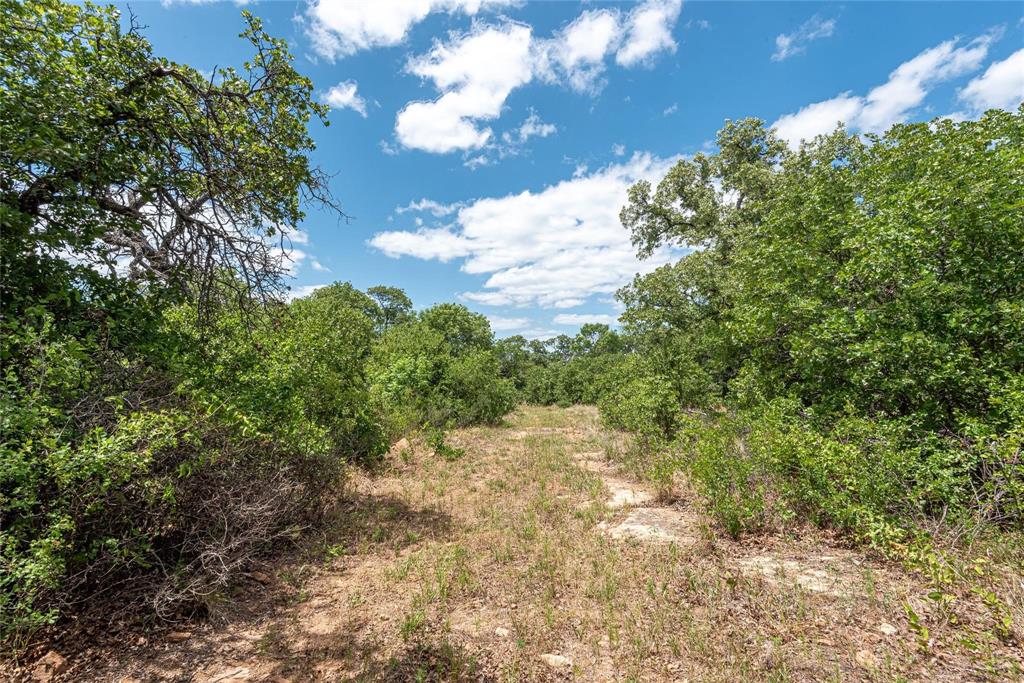 6-0007 Clayton Mt Road Gordon, TX 76453 - Photo 12 of 17 a view of a yard with plants and trees