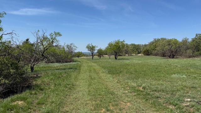 6-0007 Clayton Mt Road Gordon, TX 76453 - Photo 2 of 17 a grassy field with trees in the background
