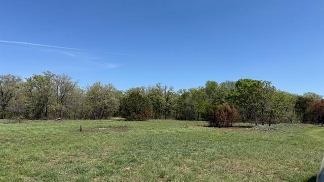 6-0007 Clayton Mt Road Gordon, TX 76453 - Photo 3 of 17 a view of a field with trees in the background