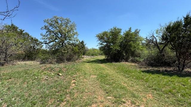6-0007 Clayton Mt Road Gordon, TX 76453 - Photo 5 of 17 a yard with a house in the background