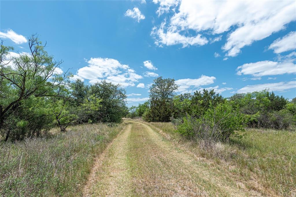 6-0007 Clayton Mt Road Gordon, TX 76453 - Photo 10 of 17 a view of a pathway both side of yard