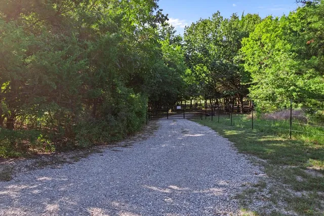 a view of a park with large trees