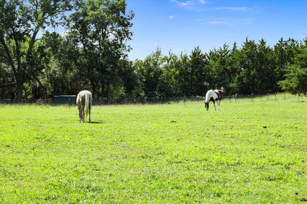 725 Wilson Road Van Alstyne, TX 75495 - Photo 34 of 40 a view of a backyard