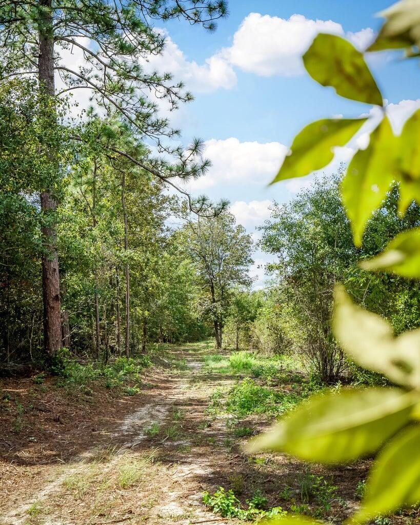 Lot 4-1 Simonside Court Aiken, SC 29803 - Photo 30 of 31