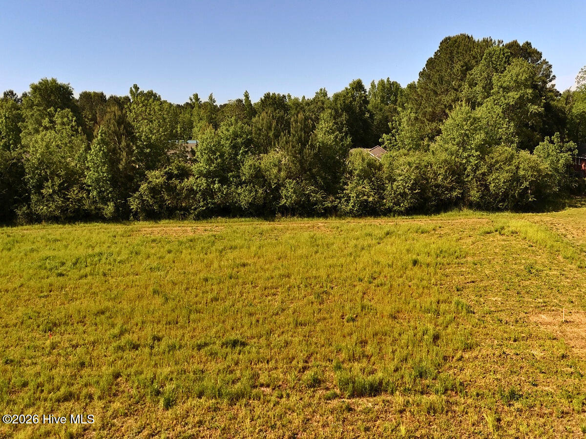 0 Old Chinquapin Road Beulaville, NC 28518 - Photo 12 of 31 12.