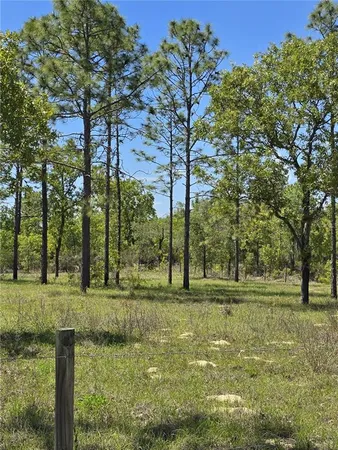 a view of outdoor space and yard