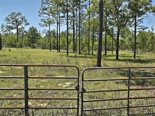 a view of a garden