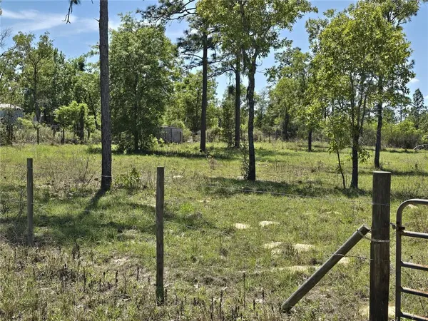 a view of a garden with a tree