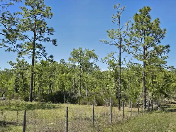 a view of a park with large trees