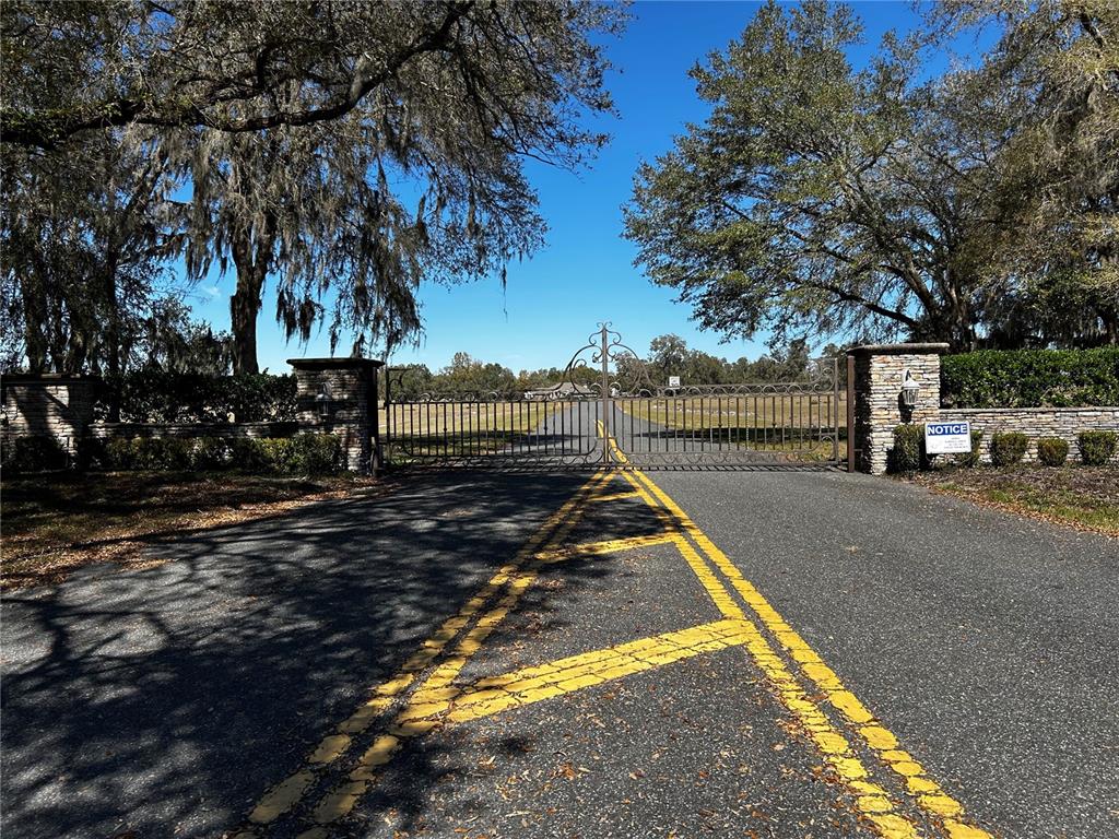0 Northwest 464b Morriston, FL 32668 - Photo 1 of 20 a view of a yard with swimming pool