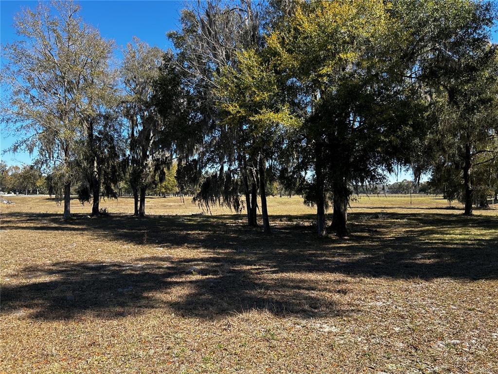 0 Northwest 464b Morriston, FL 32668 - Photo 14 of 20 a view of dirt yard