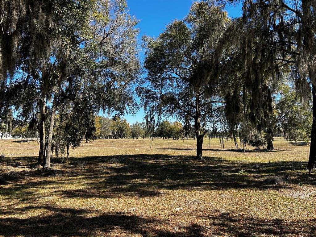 0 Northwest 464b Morriston, FL 32668 - Photo 15 of 20 a view of a lake with a trees