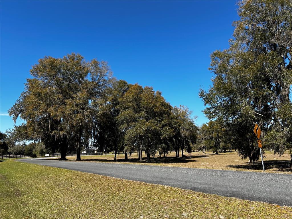 0 Northwest 464b Morriston, FL 32668 - Photo 17 of 20 a view of a swimming pool and trees in the background
