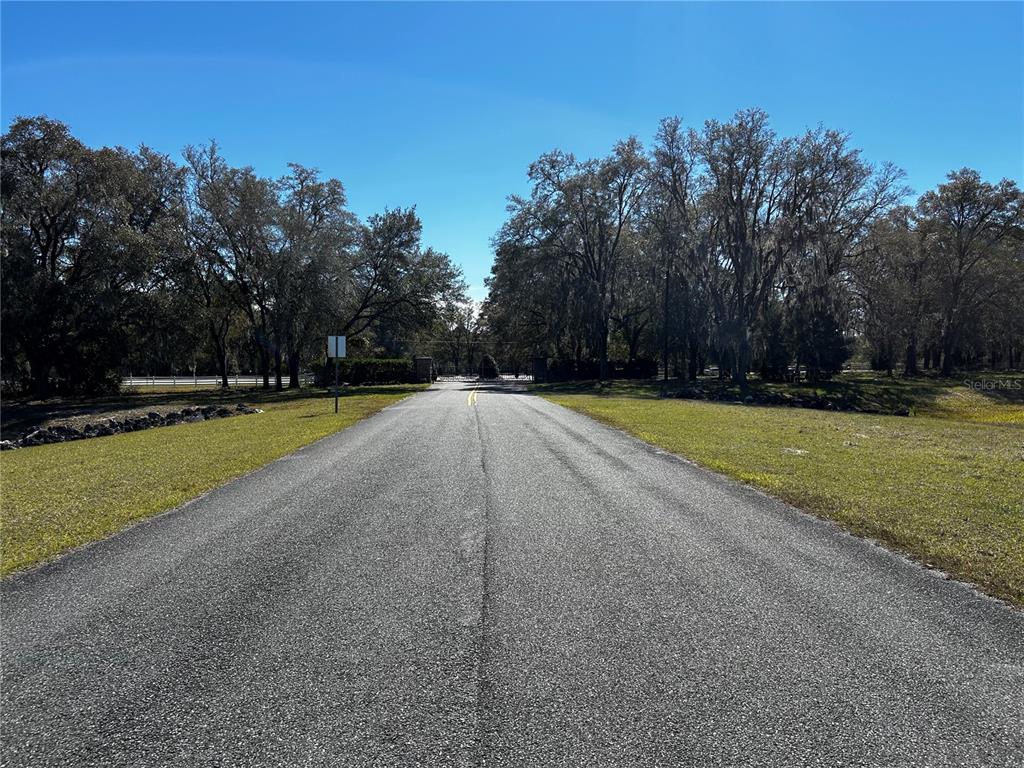 0 Northwest 464b Morriston, FL 32668 - Photo 18 of 20 a view of a swimming pool and trees in the background