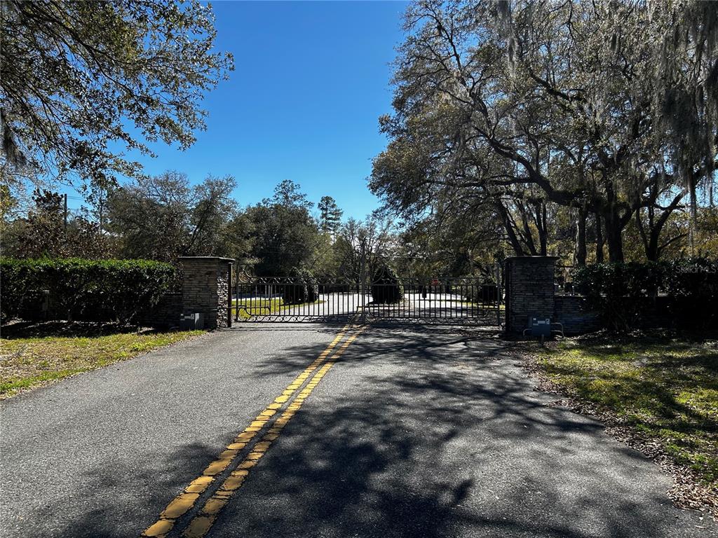 0 Northwest 464b Morriston, FL 32668 - Photo 19 of 20 a view of a park with large trees