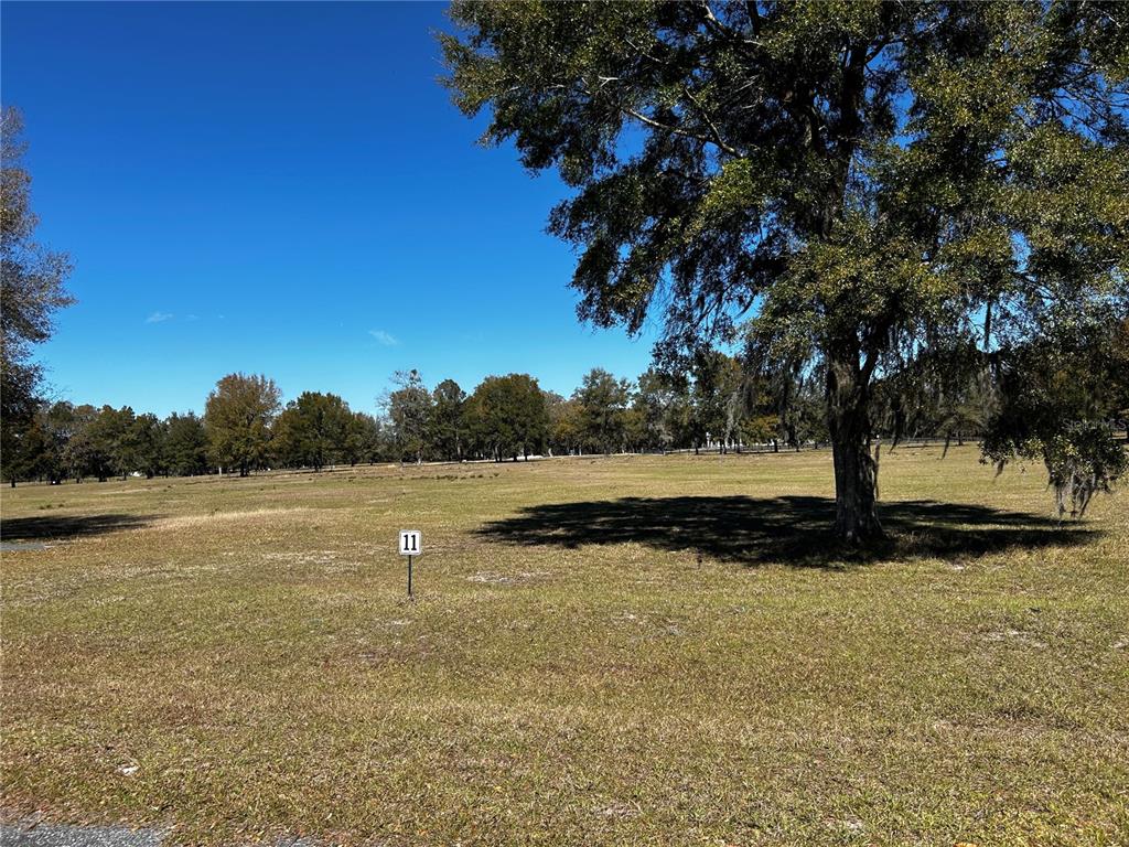 0 Northwest 464b Morriston, FL 32668 - Photo 4 of 20 a view of outdoor space and yard