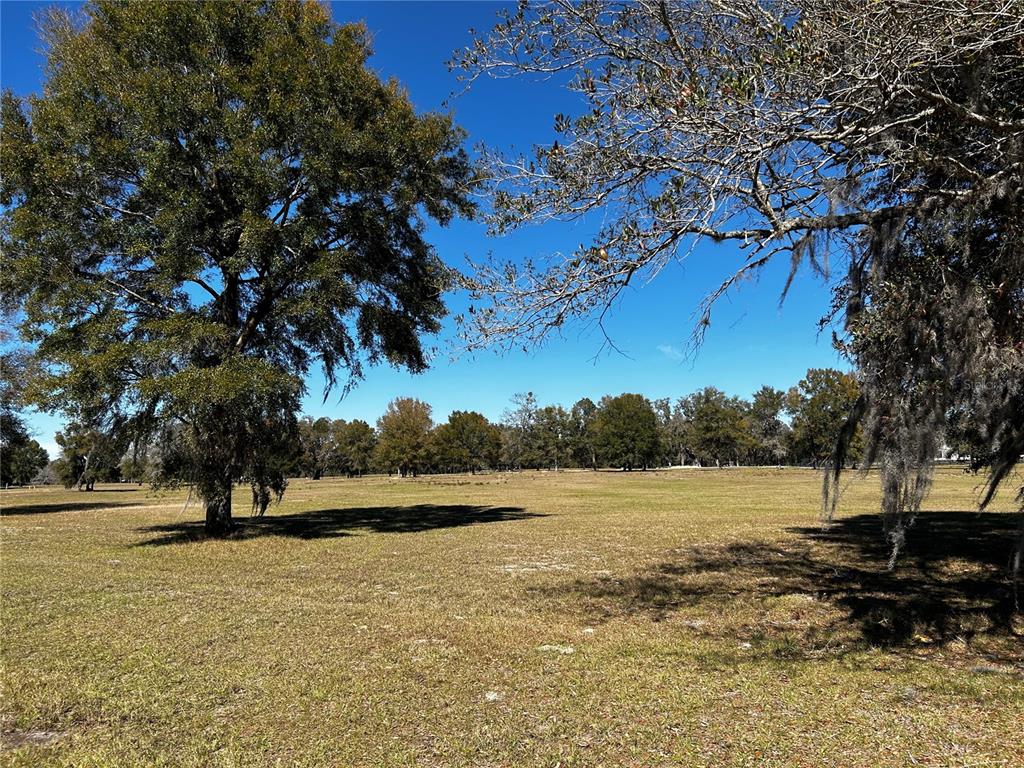 0 Northwest 464b Morriston, FL 32668 - Photo 5 of 20