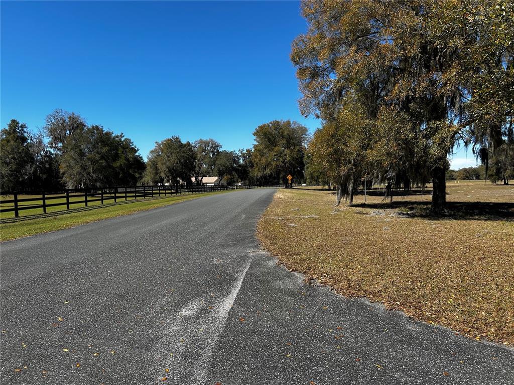 0 Northwest 464b Morriston, FL 32668 - Photo 8 of 20 a view of outdoor space with trees