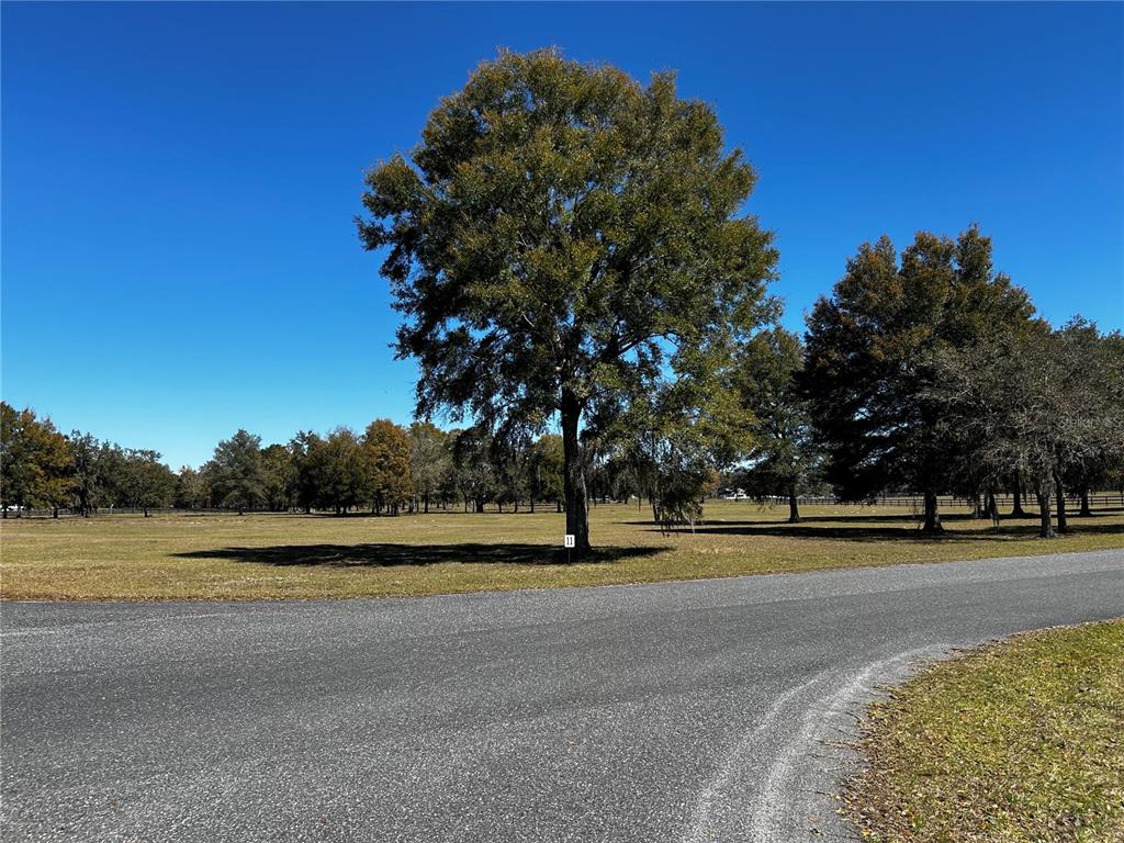 0 Northwest 464b Morriston, FL 32668 - Photo 10 of 20 a view of a swimming pool and trees