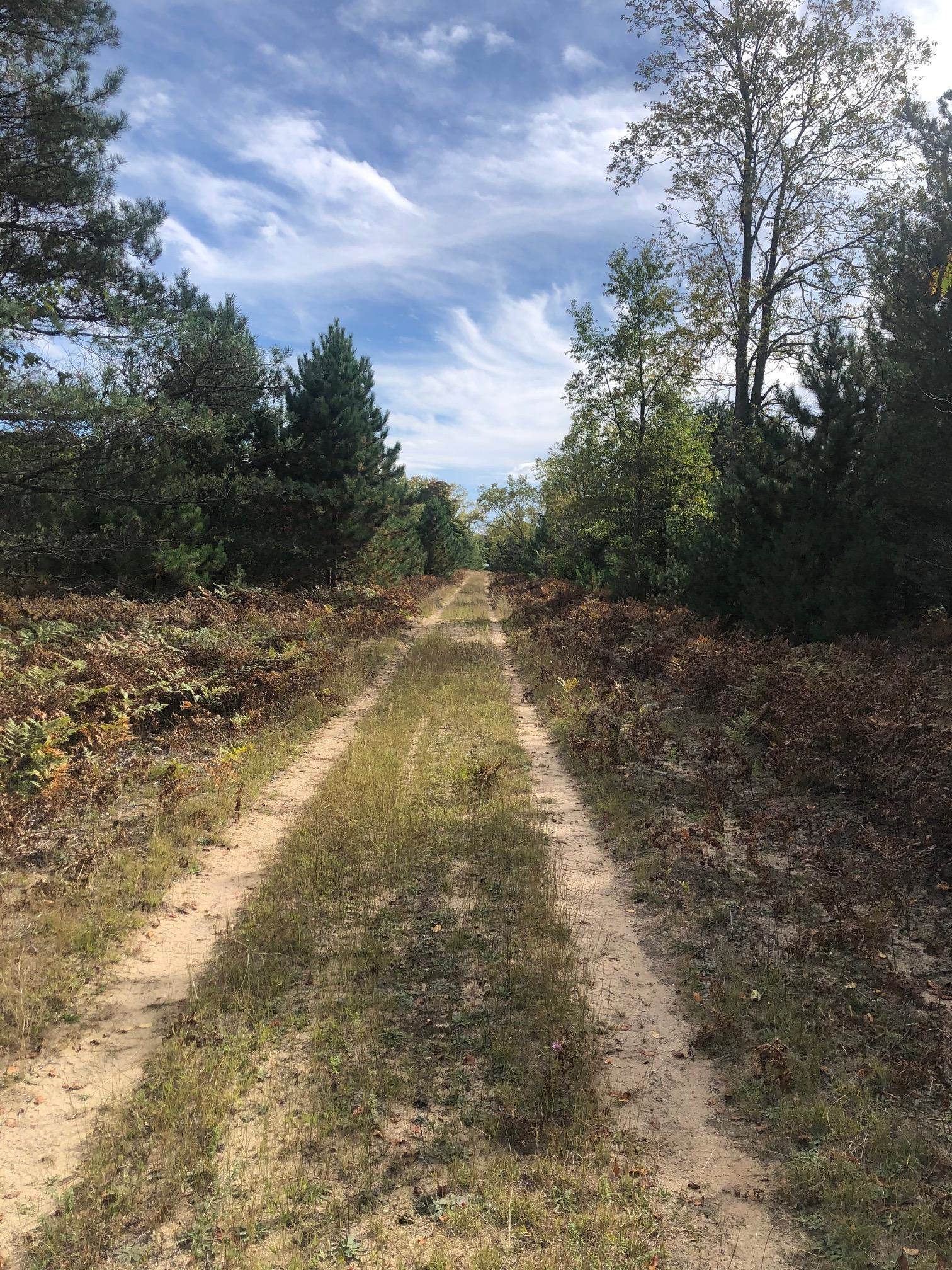 53-acres Potter Road Kaleva, MI 49645 - Photo 2 of 30 Gallery Image 2