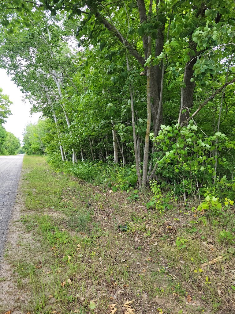 Wayside Road Egg Harbor, WI 54209 - Photo 4 of 12 Gallery Image 4