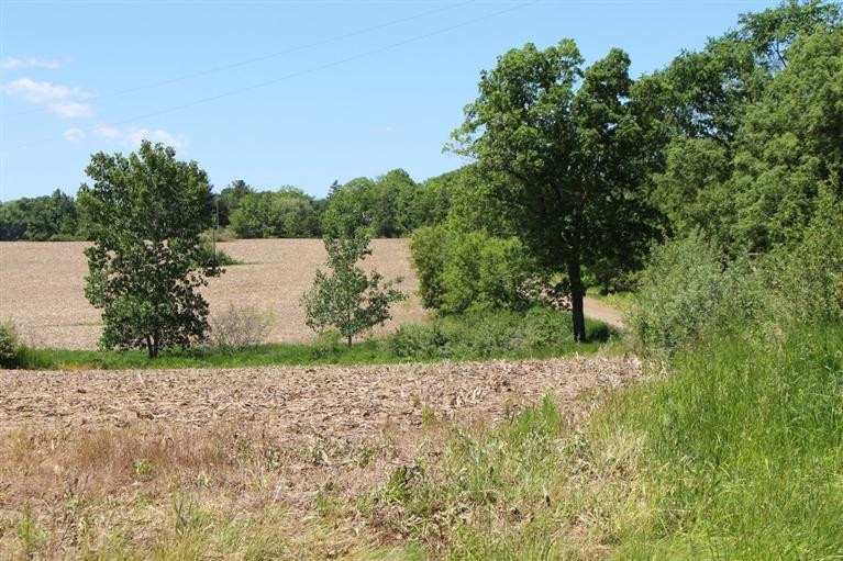 20365 Bowens Road Manchester, MI 48158 - Photo 19 of 23 Photo 19