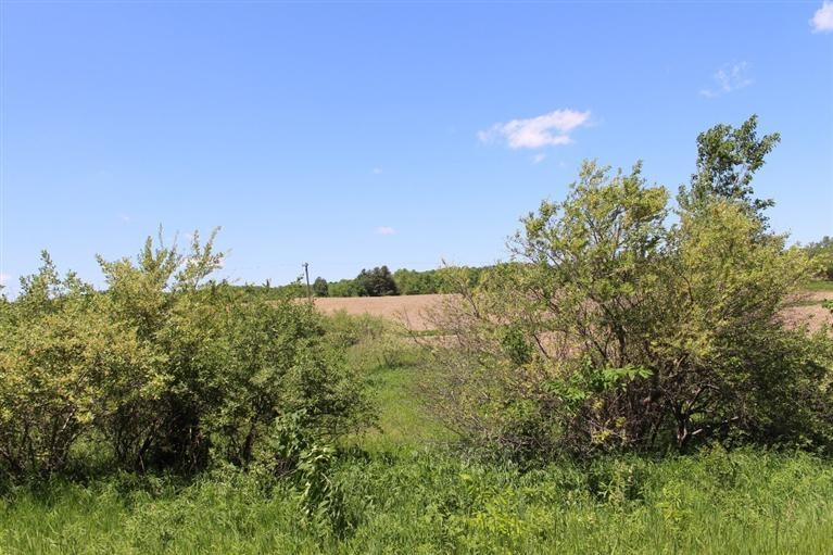 20365 Bowens Road Manchester, MI 48158 - Photo 6 of 23 Photo 6
