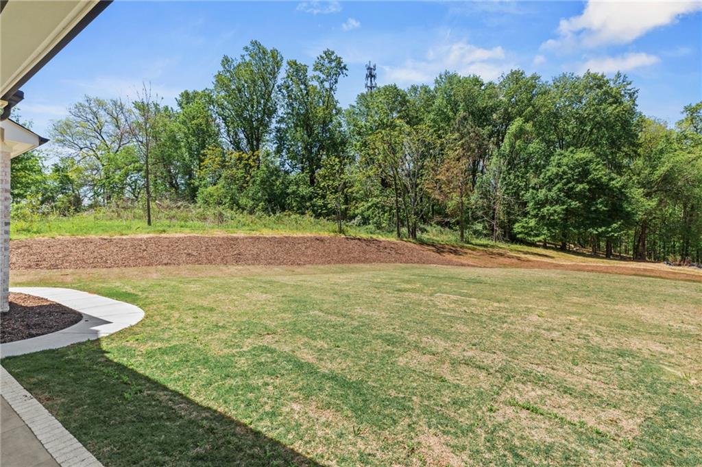 386 Haley Farm Road Canton, GA 30115 - Photo 24 of 25