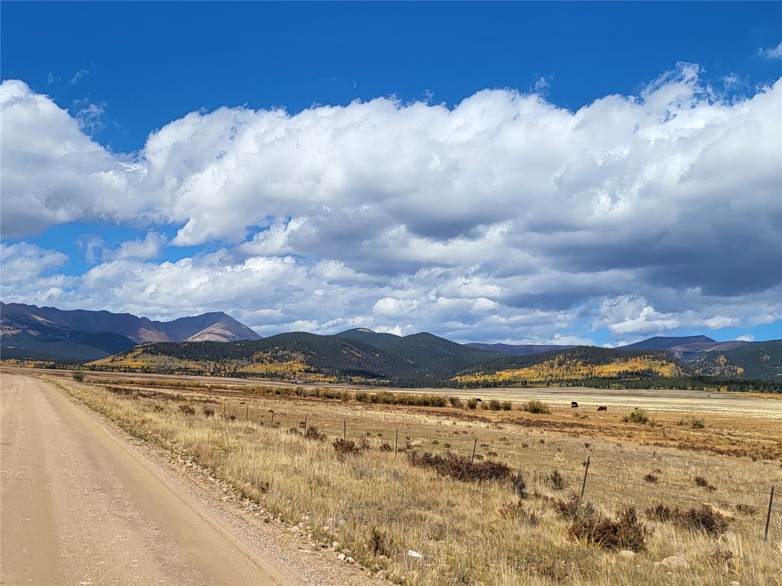 Tbd Michigan Hill Road Jefferson, CO 80456 - Photo 40 of 44