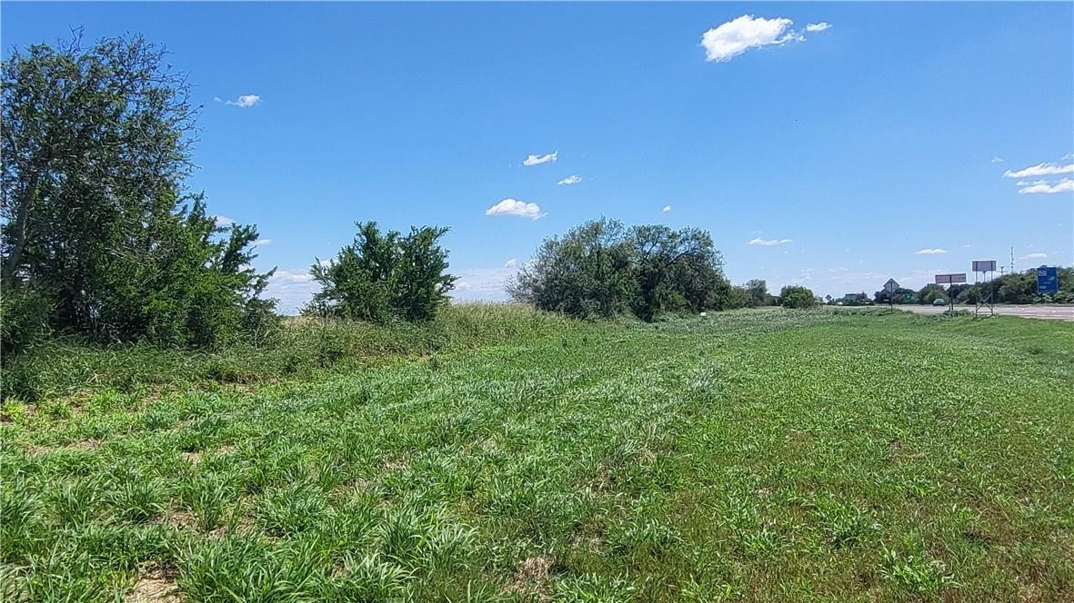 0 Us-281 Falfurrias, TX 78355 - Photo 7 of 10 a big yard with lots of green space