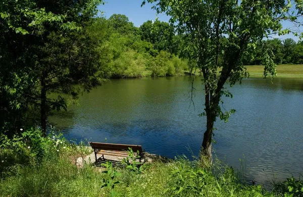 $6,500 | 1301 Ashby Valley Lane, Arrington, TN 37014