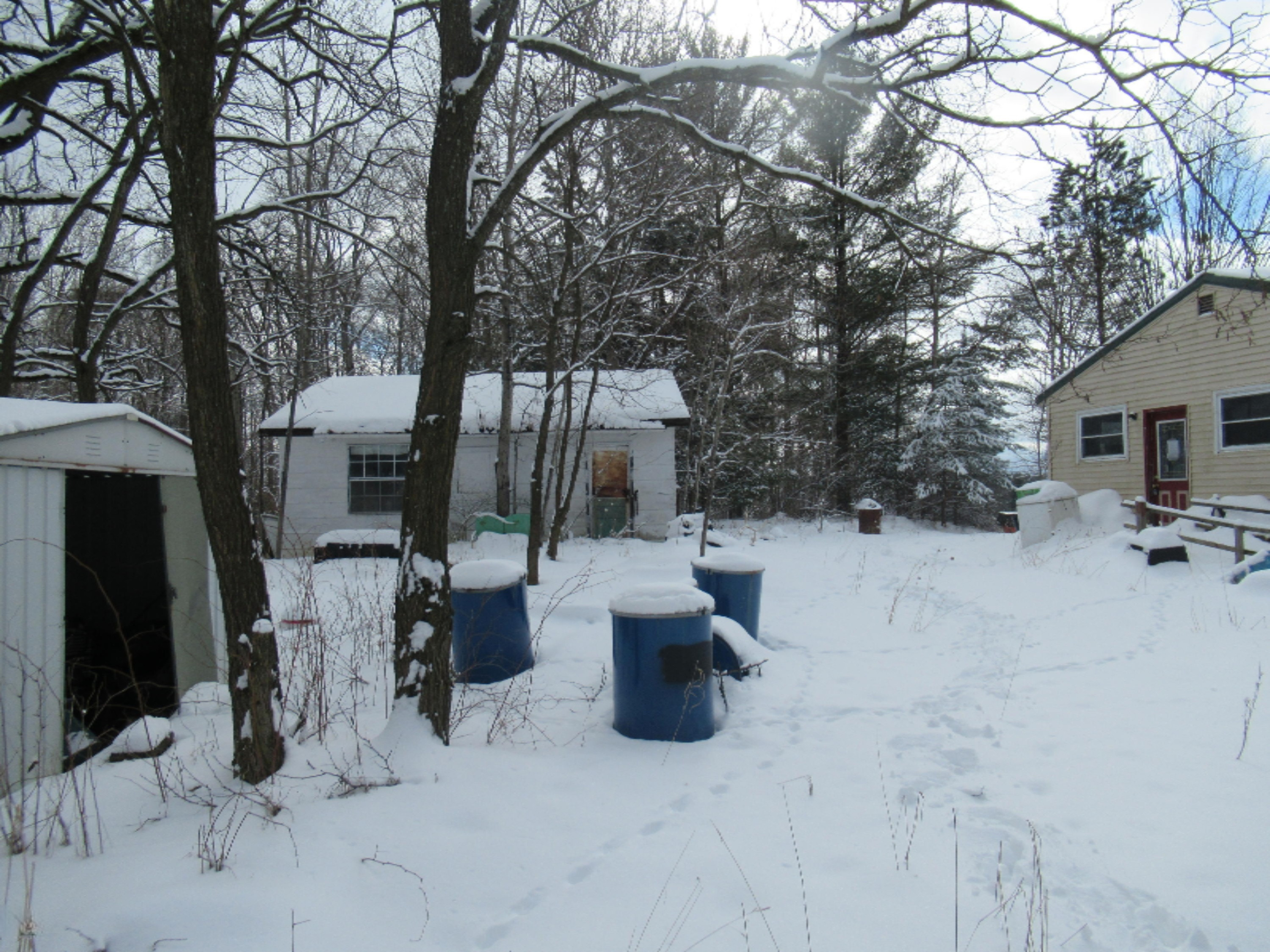 8908 East 7 Mile Road Luther, MI 49656 - Photo 2 of 9 IMG_0653