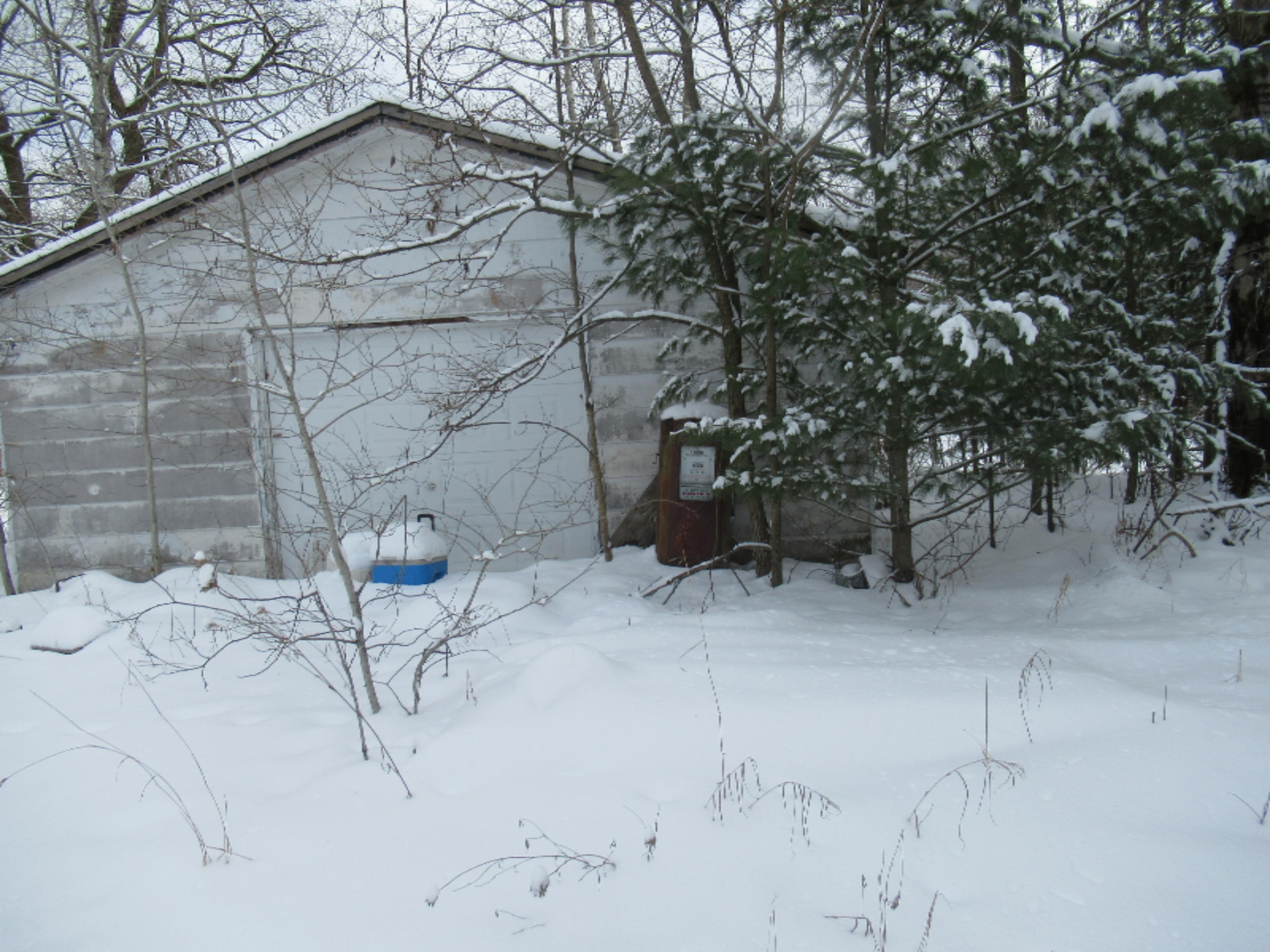 8908 East 7 Mile Road Luther, MI 49656 - Photo 4 of 9 IMG_0655
