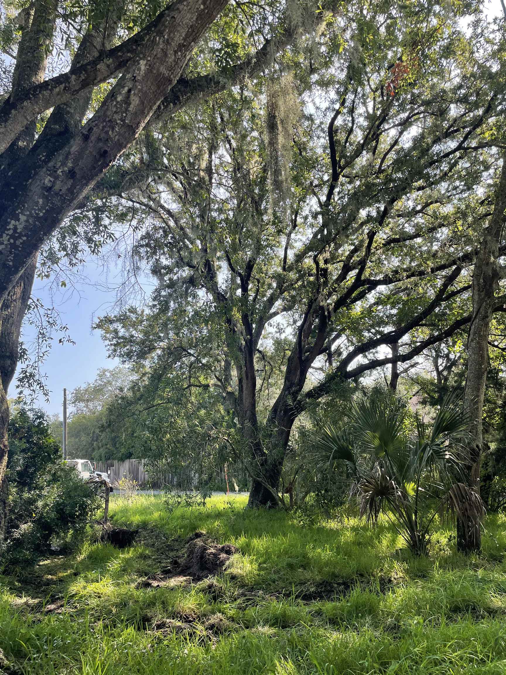 Madrid St Street St. Augustine, FL 32080 - Photo 3 of 9