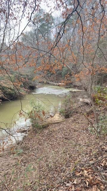 -lot1 North Helton Road Winston, GA 30187 - Photo 1 of 4 a view of a lake with mountain