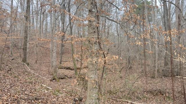 -lot1 North Helton Road Winston, GA 30187 - Photo 2 of 4 a bathroom with a shower curtain