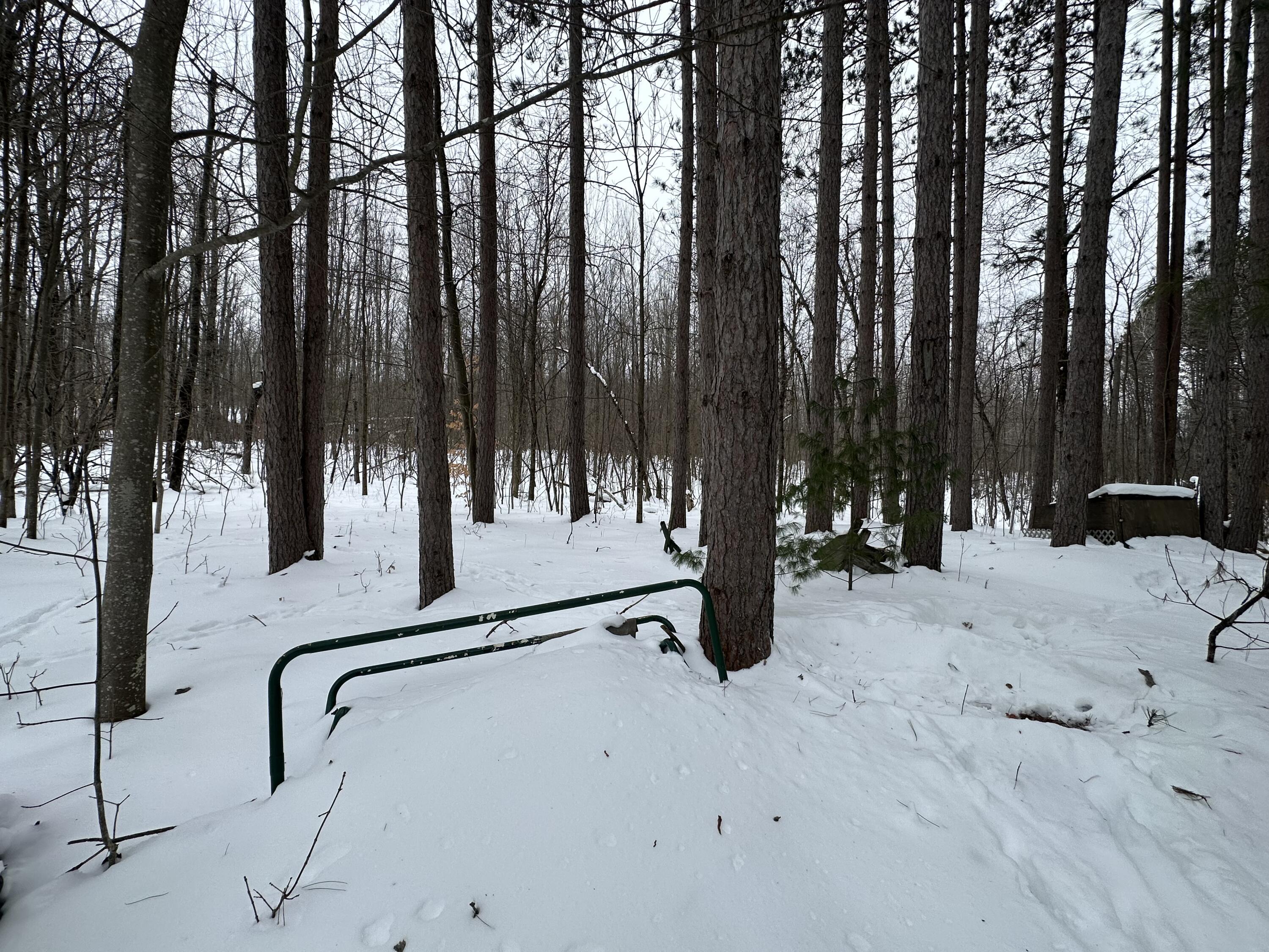 V/l Lakola Road Leroy, MI 49655 - Photo 12 of 12 IMG_2823