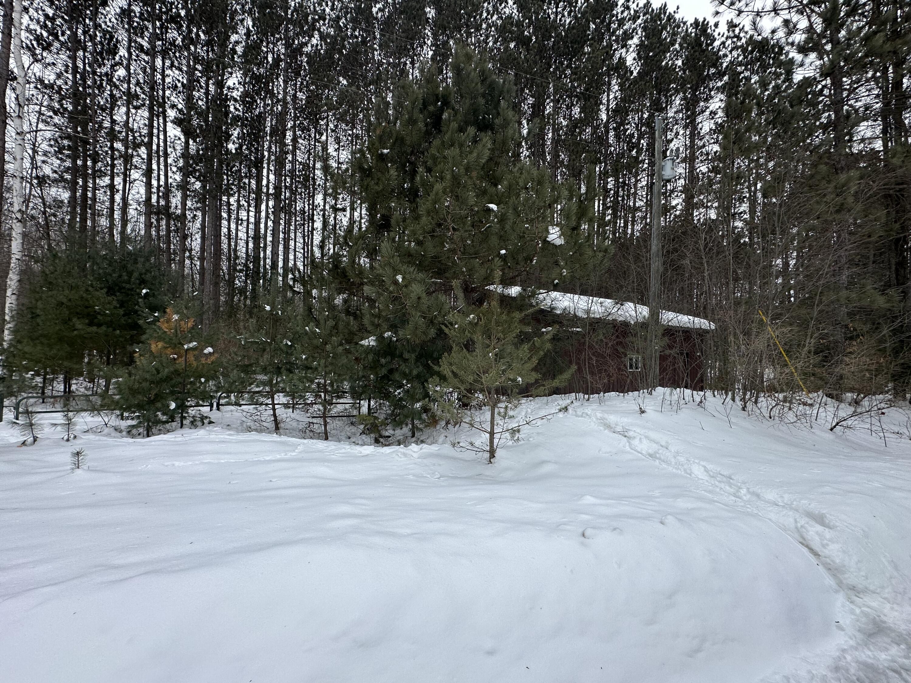 V/l Lakola Road Leroy, MI 49655 - Photo 5 of 12 IMG_2830