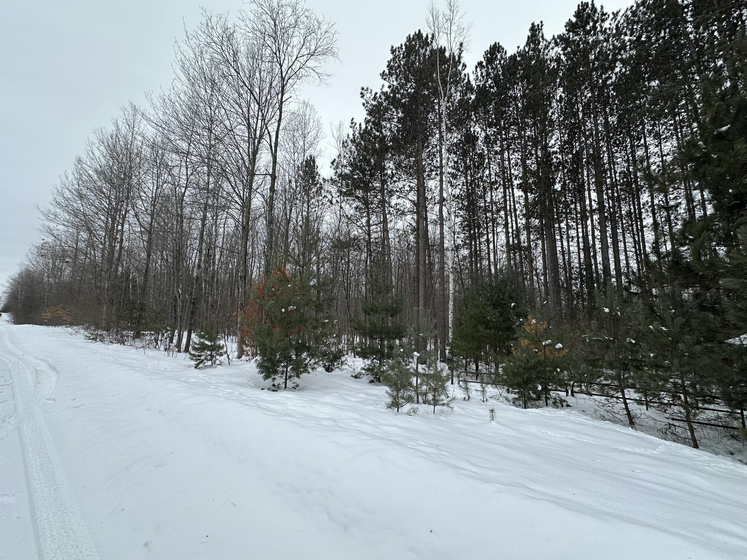 V/l Lakola Road Leroy, MI 49655 - Photo 6 of 12 IMG_2829
