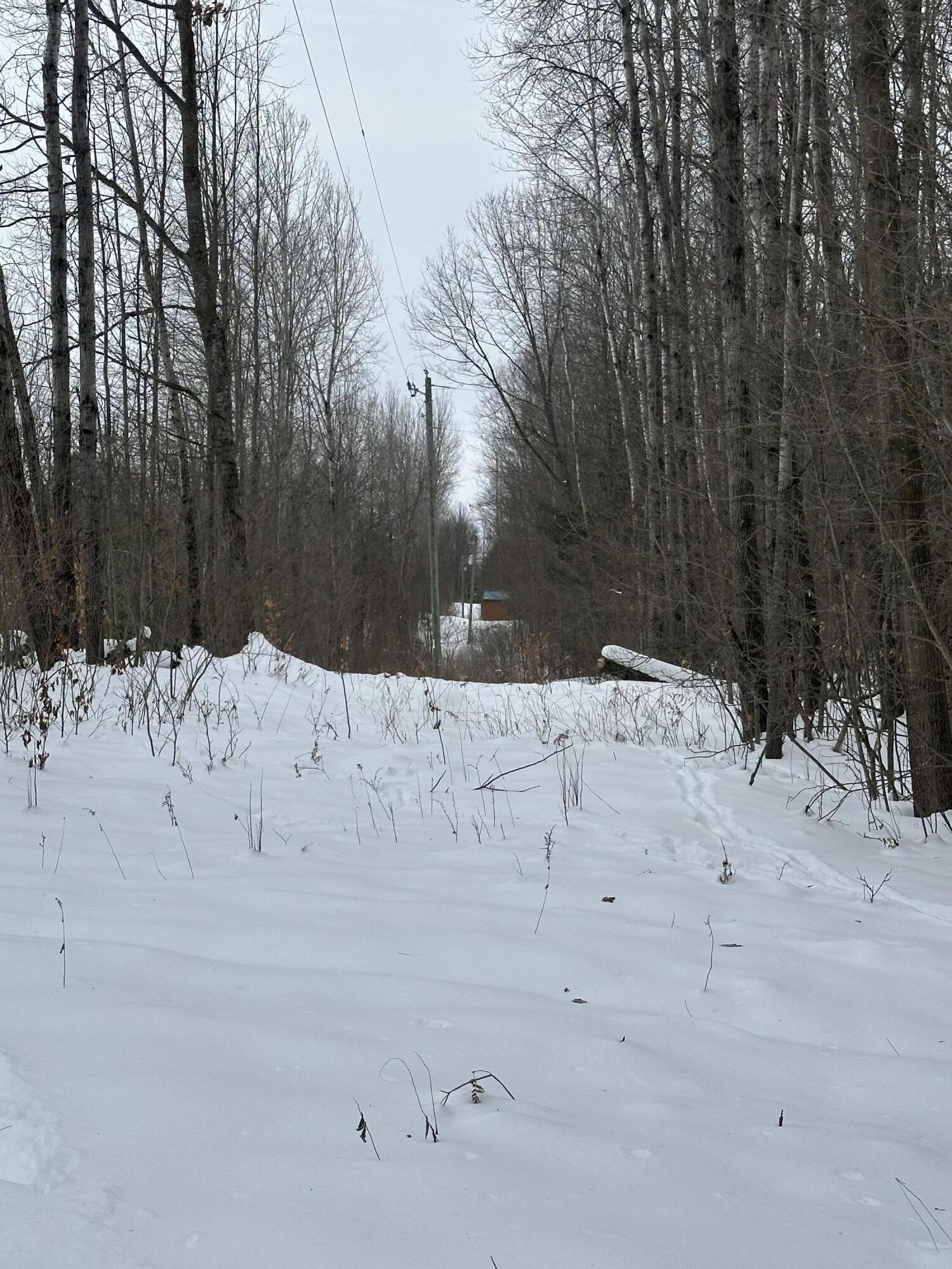 V/l Lakola Road Leroy, MI 49655 - Photo 7 of 12 IMG_2828