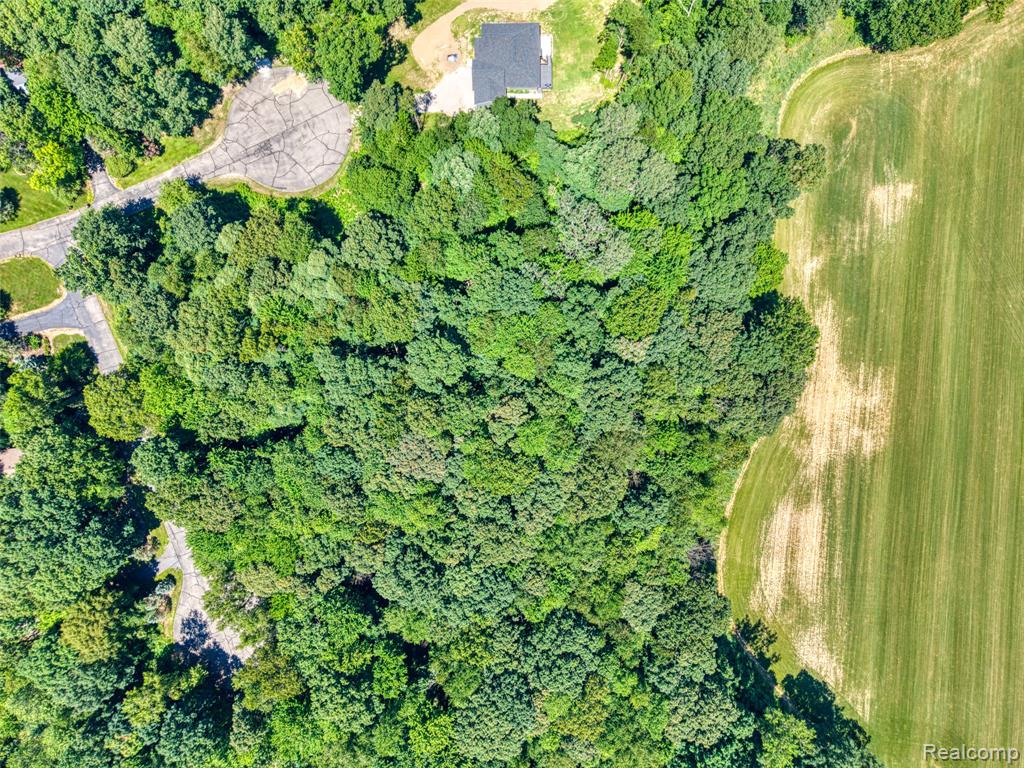 5663 Iosco Mountain Road Gregory, MI 48137 - Photo 11 of 13
