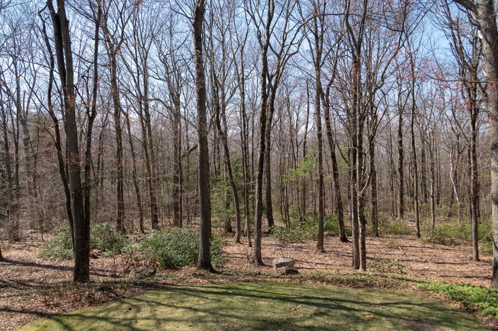 91 West Pelham Road Shutesbury, MA 01072 - Photo 7 of 32 Gallery Image 7