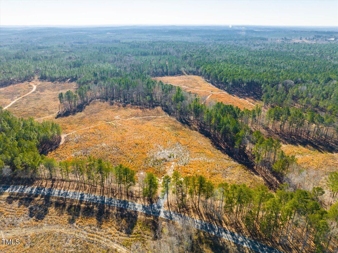 3 Robedo Rd Mount Mount Gilead, NC 27306 - Photo 5 of 24 05-005-Tract3-RobedoRd-MontgomeryCounty-