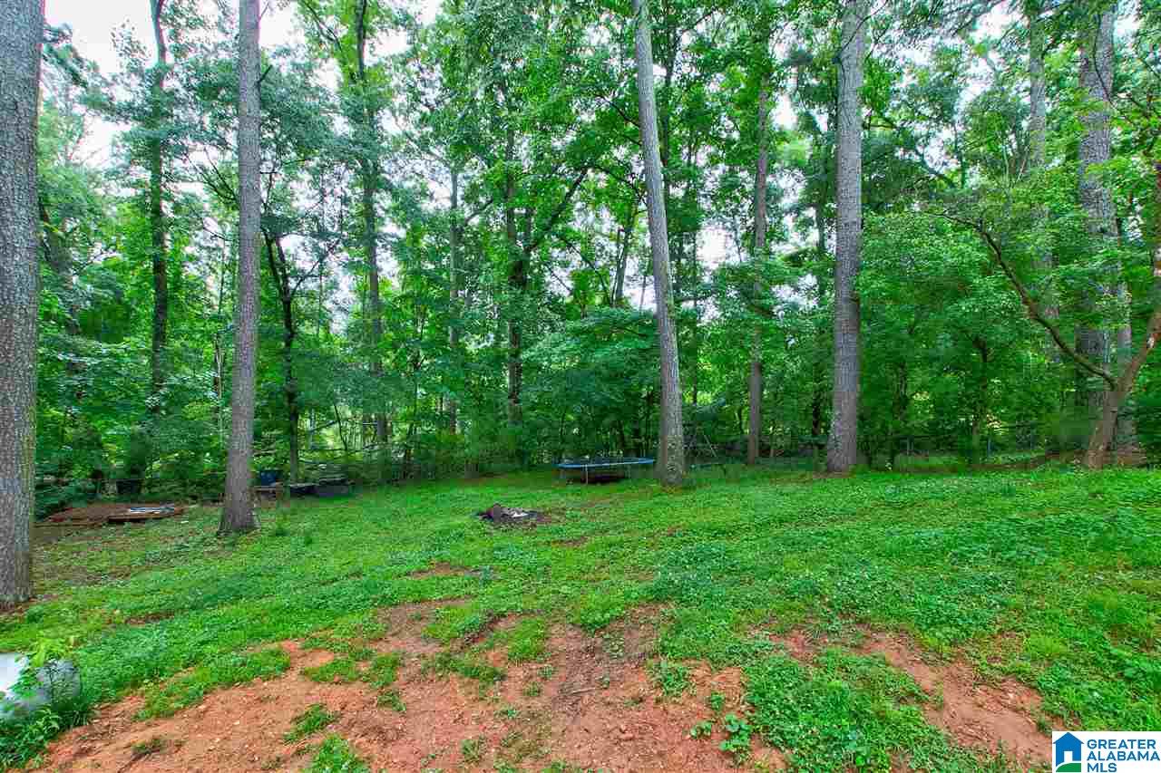 230 Valley Circle Pinson, AL 35126 - Photo 23 of 32