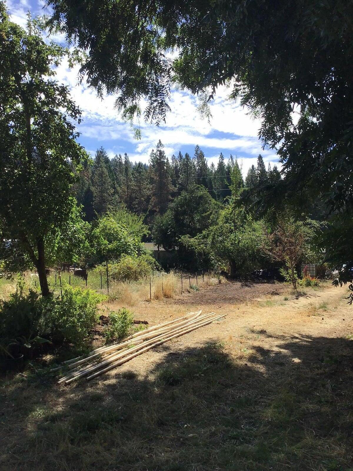 200 Humphrey Addition Road Glendale, OR 97442 - Photo 19 of 21 20241004210316144081000000-o